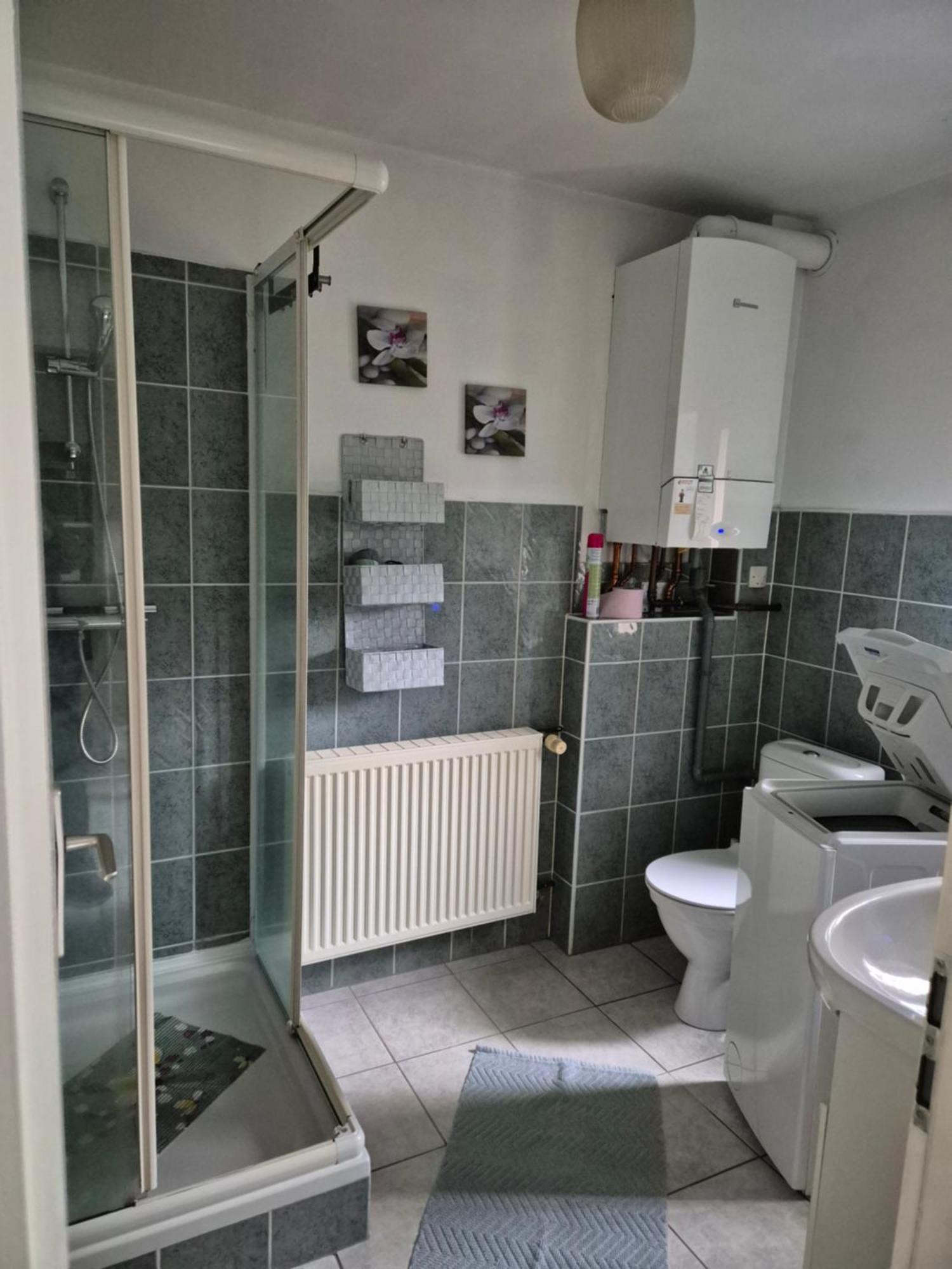 1 Rue Des Romains Studio Meuble Clauss Niederbronn-les-Bains Dış mekan fotoğraf